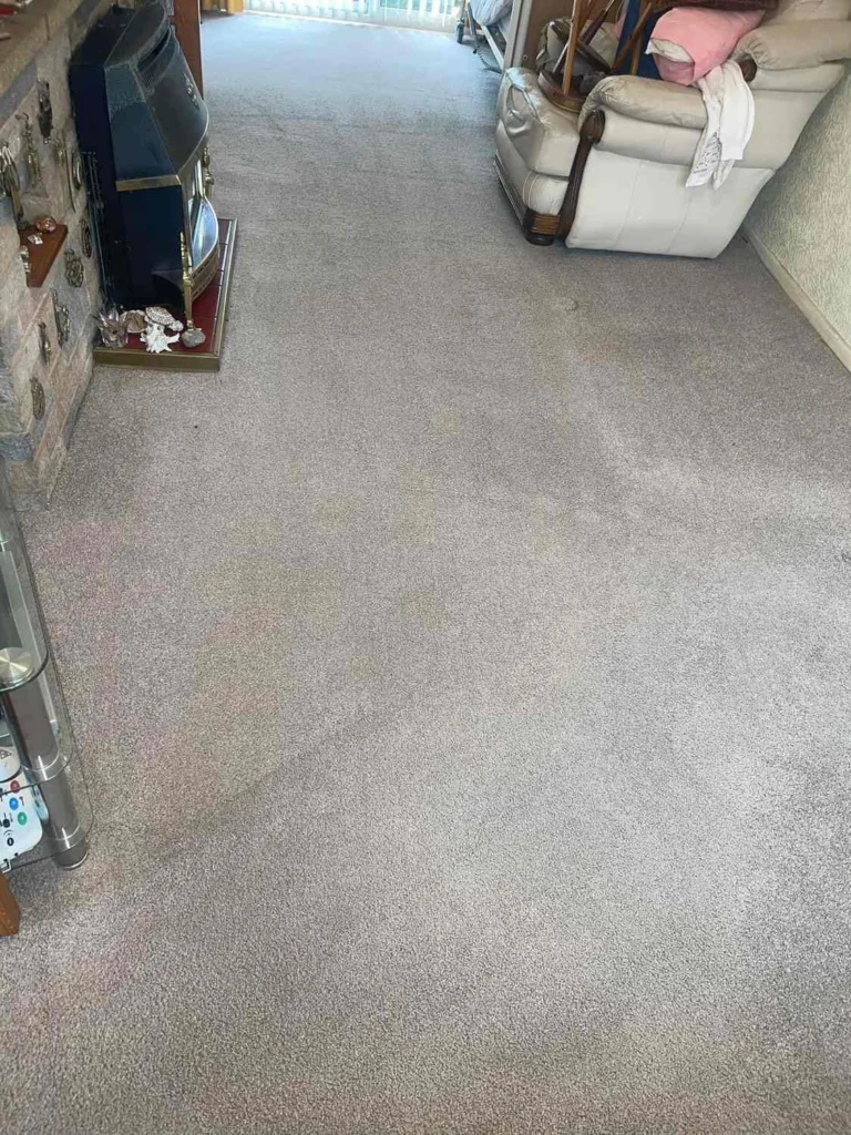 Lounge carpet after professional cleaning by Clearway Trusted Cleaning