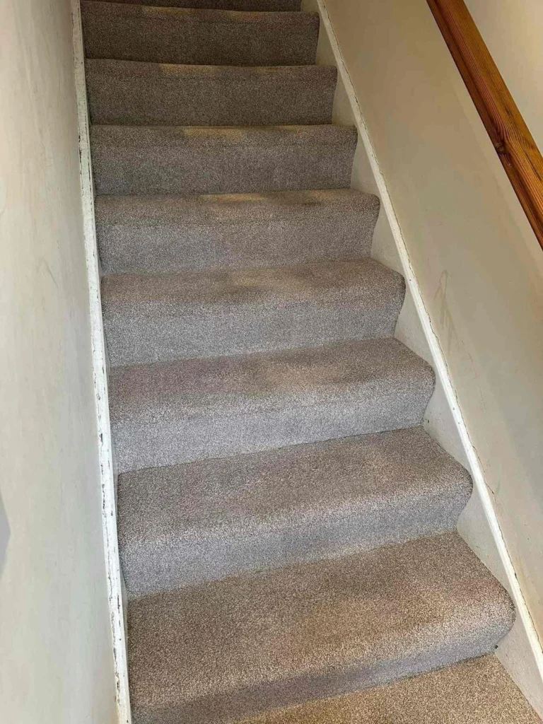 Stair carpet after professional cleaning by Clearway Trusted Cleaning