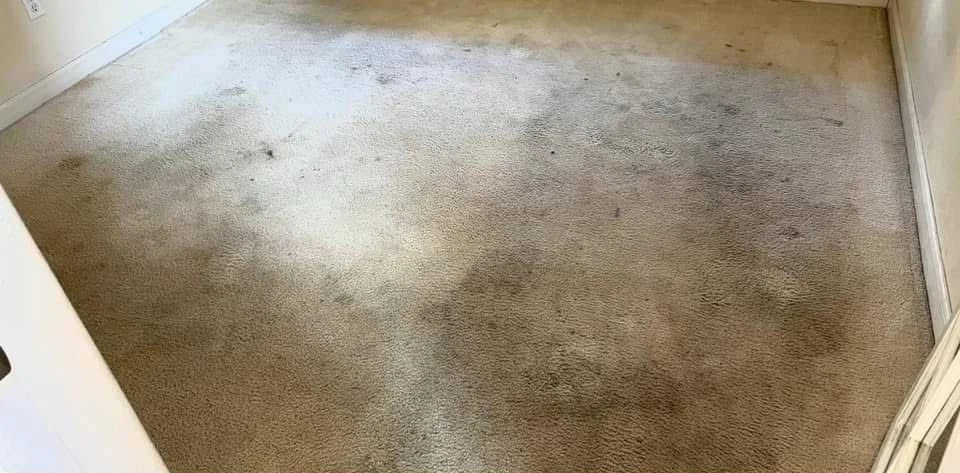 Room carpet before professional cleaning by Clearway Trusted Cleaning
