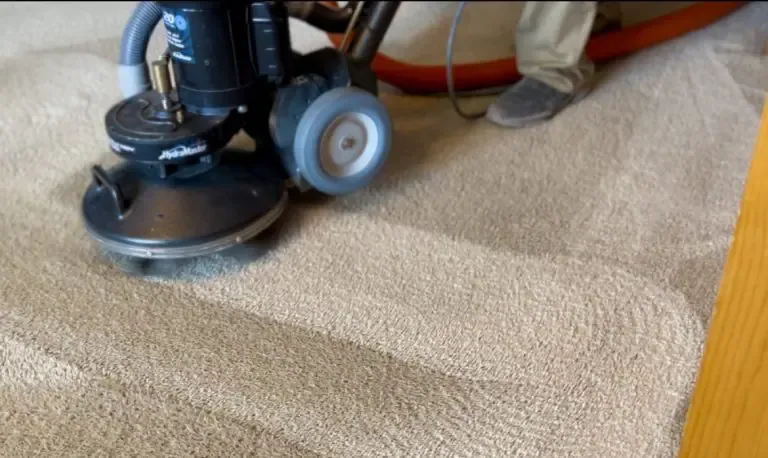 Rotary carpet cleaning machine working on a carpet - carpet cleaning in Mold
