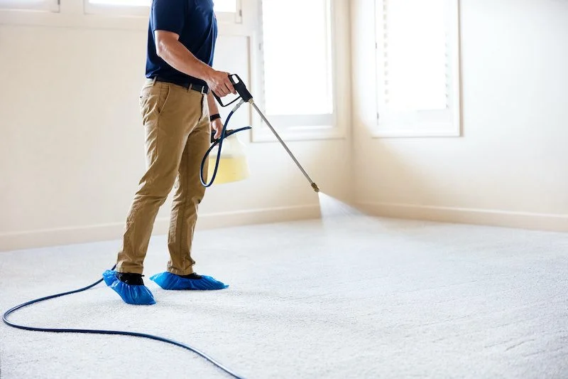 Carpet cleaning technician cleaning a cream carpet