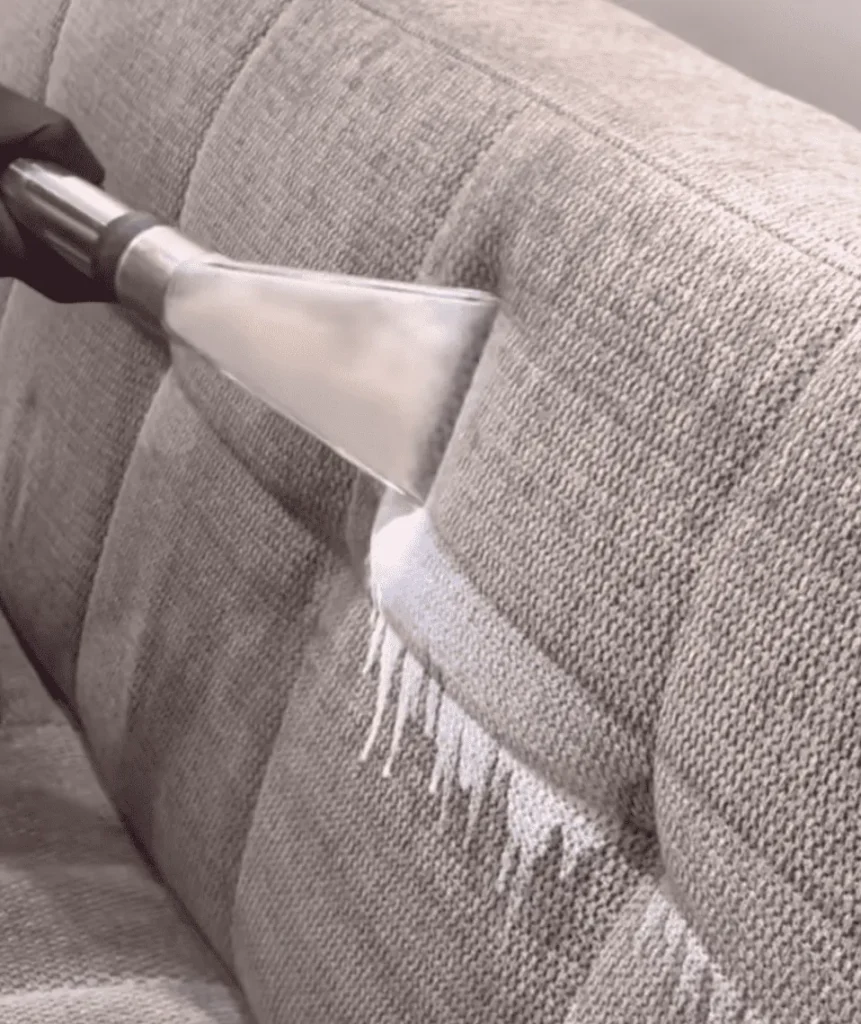 Sofa back cushion being deep cleaned