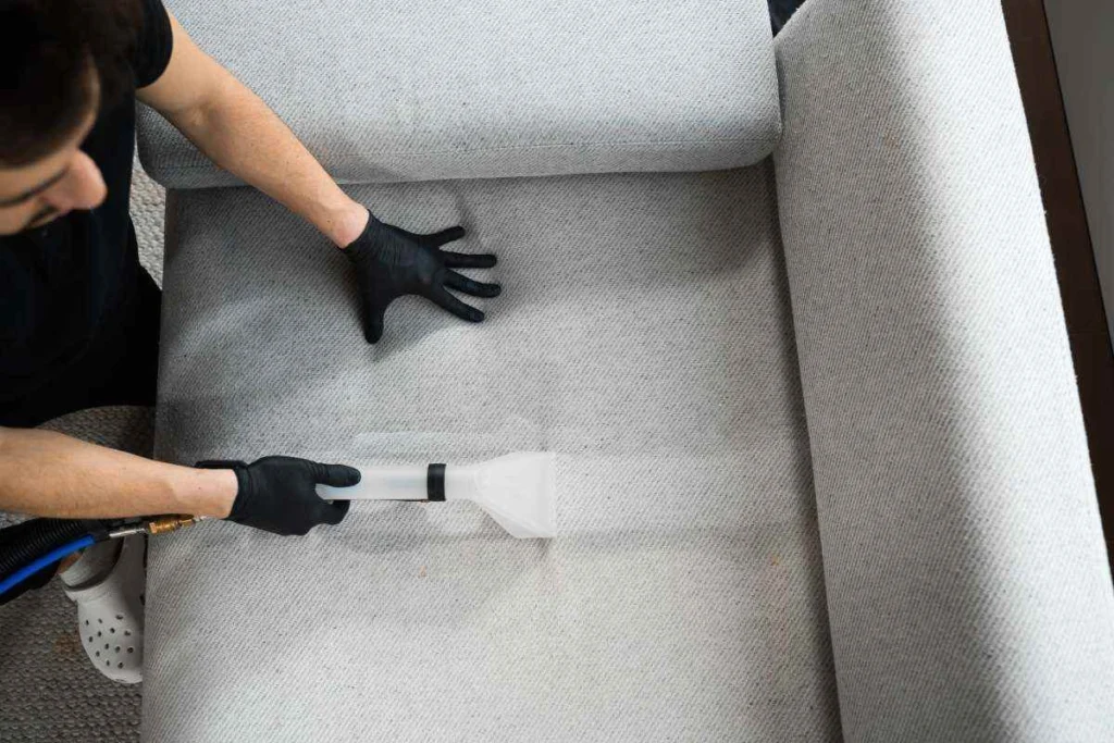 Fabric sofa being professionally cleaned